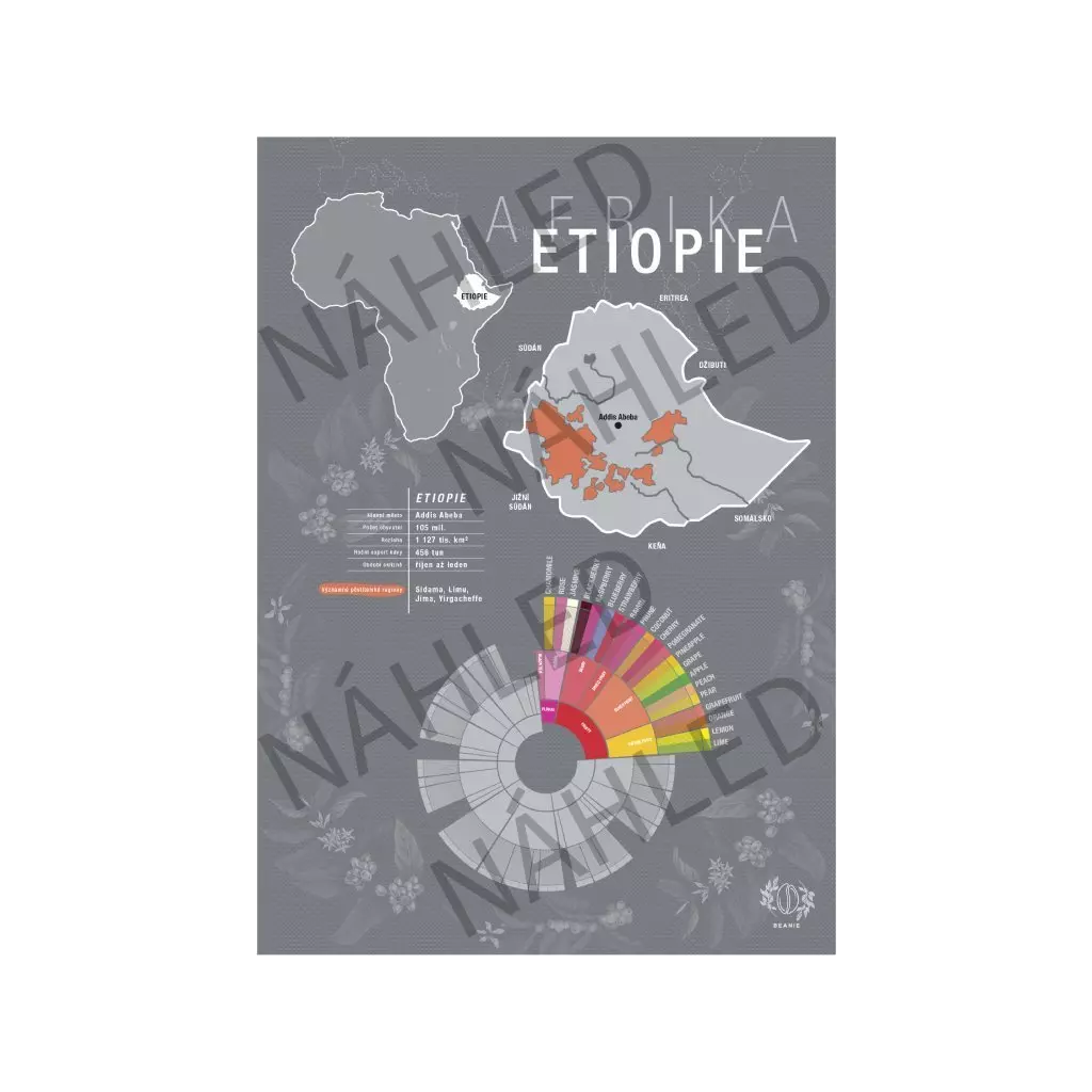 Beanie Etiopie – plakát A4