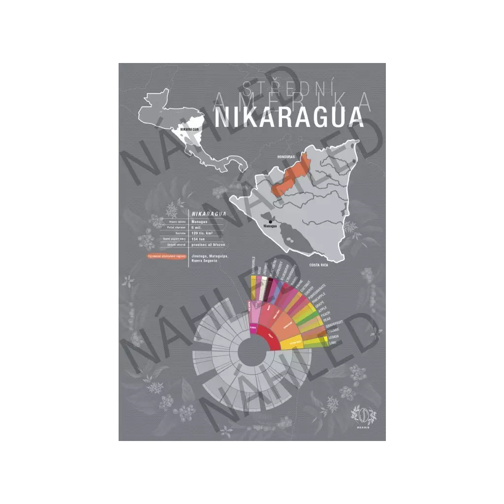 Beanie Nikaragua – plakát A4