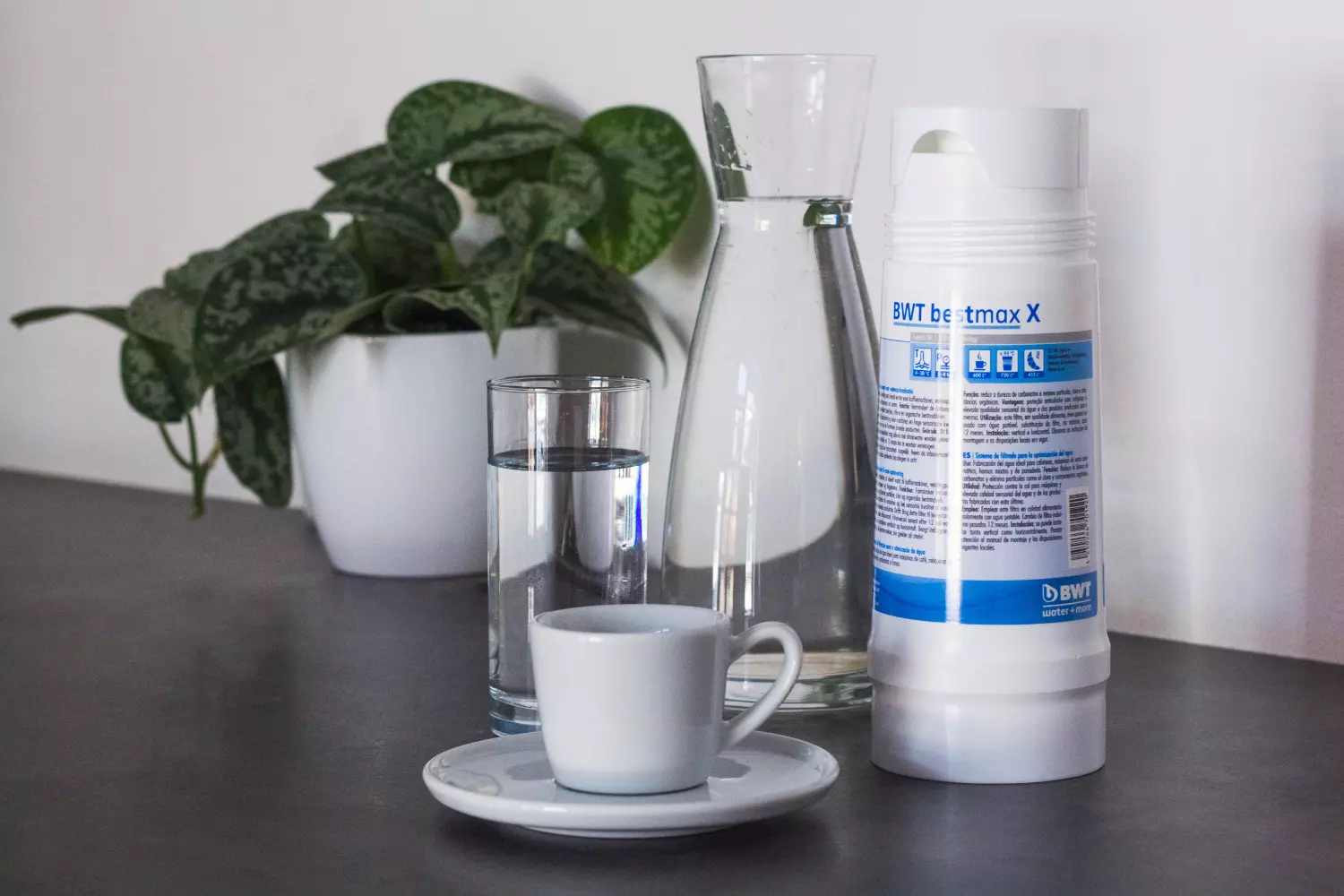 BWT Bestmax V filtrační kartuš | Lázeňská káva