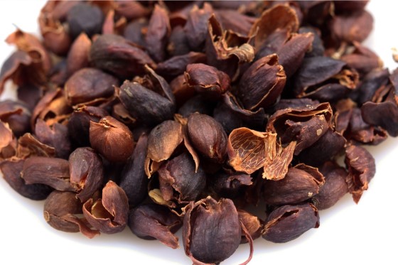 Cascara čili sušené slupky plodů kávovníku Cascara čili sušené slupky plodů kávovníku