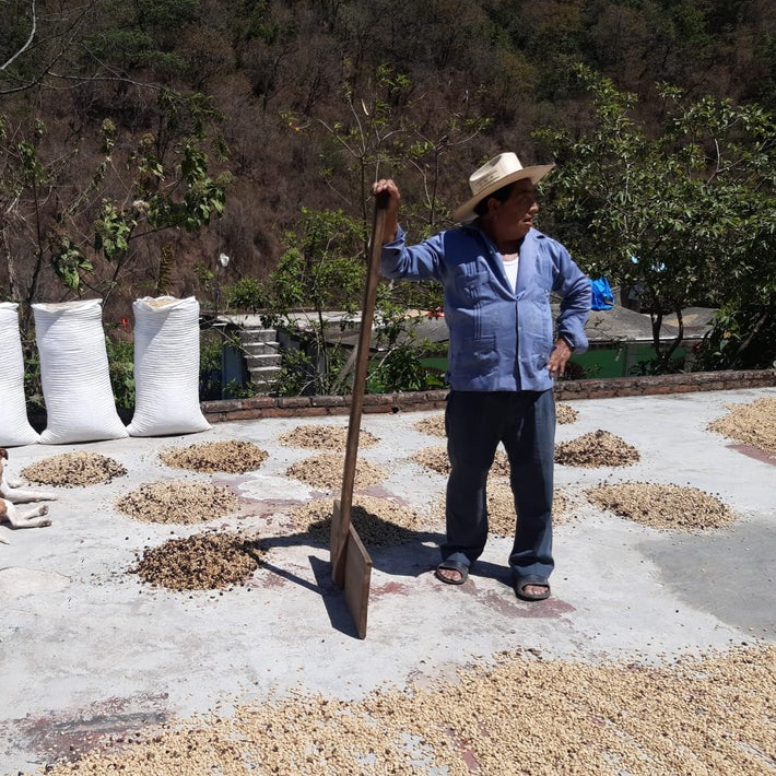 BIO káva | Mexiko Fedesi | Espresso