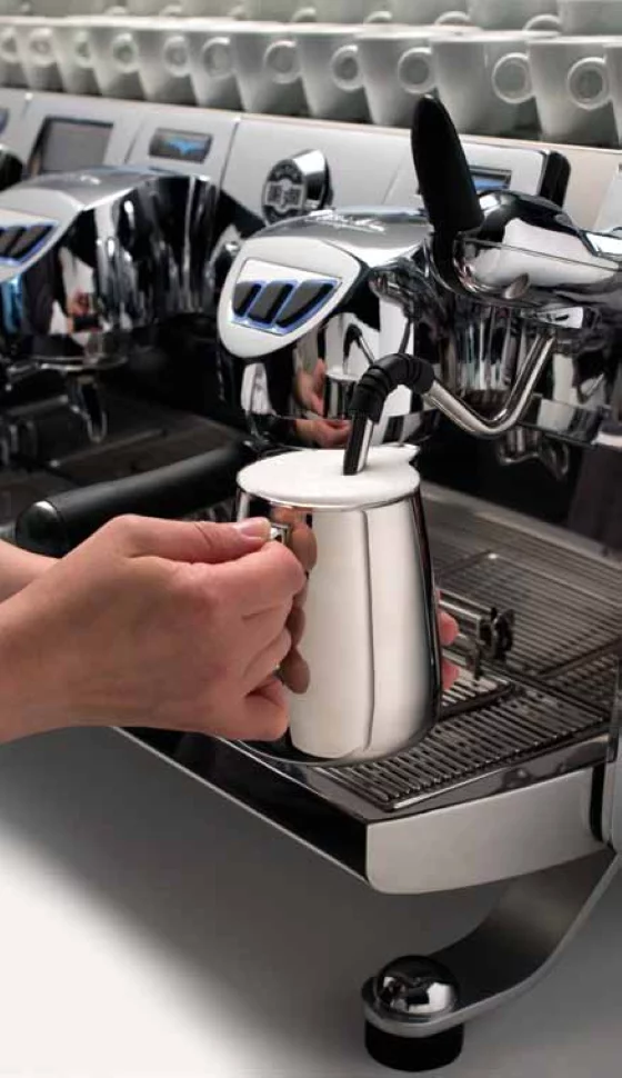 Victoria Arduino VA358 Black Eagle Gravitech 2GR | Lázeňská káva