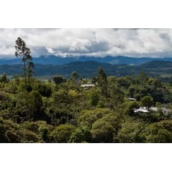 Pohled na krajinu Huila v Kolumbii kde se pěstuje káva.