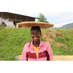 Žena ze Rwandy při sběru kávy.