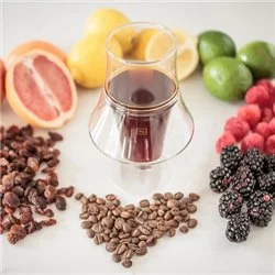 Dvě sklenice Kruve EQ Glass Set Inspire pro filtrovanou kávu s objemem 150 ml, ideální pro degustaci a prezentaci kávy.