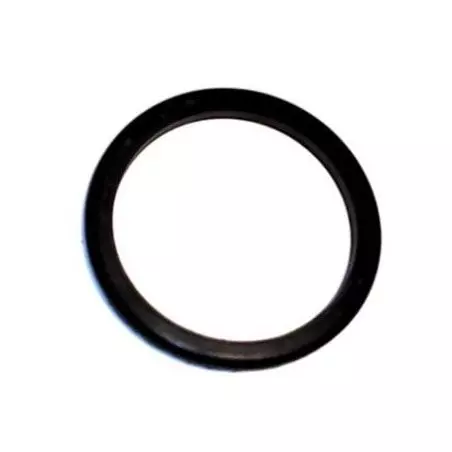 Těsnění hlavy kávovaru La Pavoni, velikost 60x50x5,5 mm, kompatibilní s modelem La Pavoni Professional.