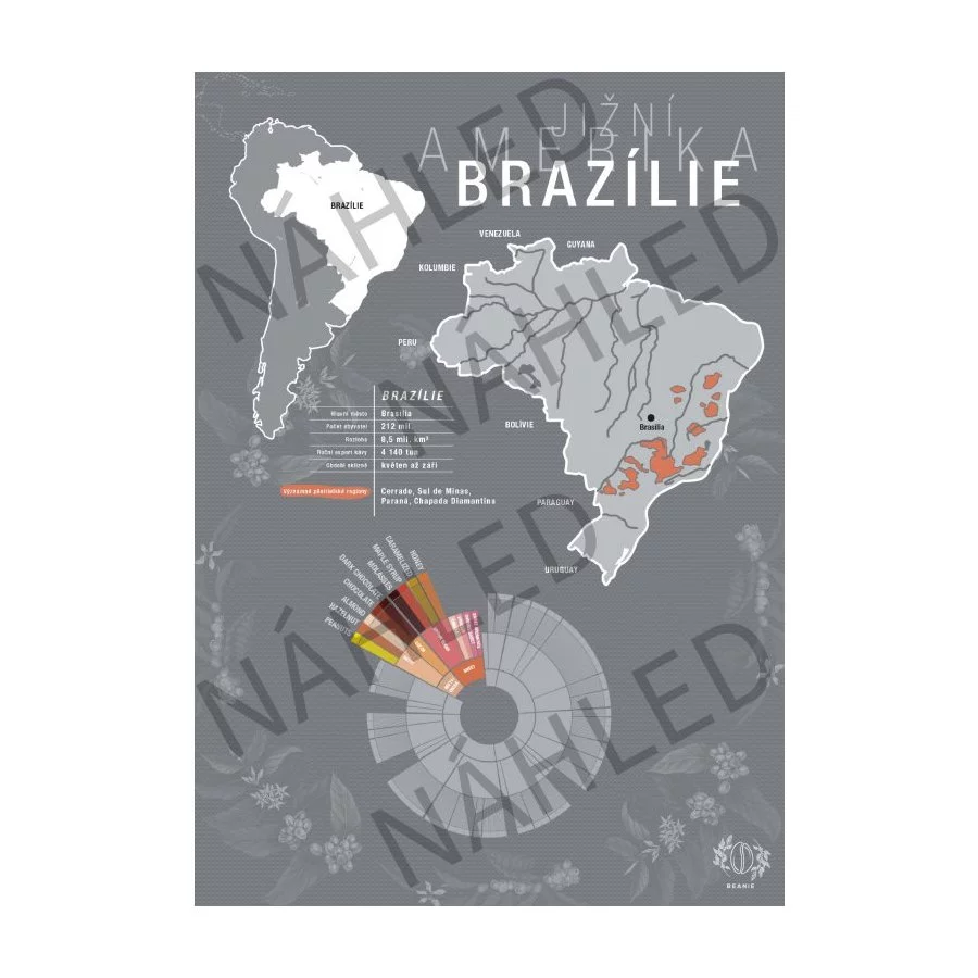 Kávový plakát s motivem Brazílie od české značky Beanie.