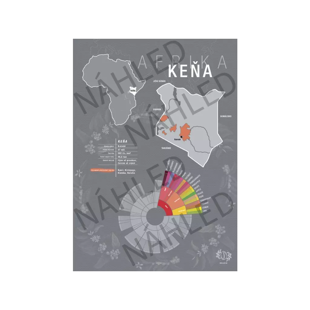 Beanie Keňa – plakát A4