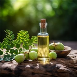 Amla - 100% přírodní esenciální olej 10 ml
