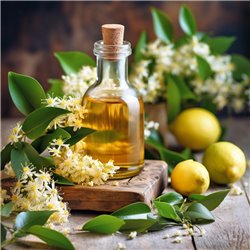 Citronová myrta - 100% přírodní esenciální olej 10 ml