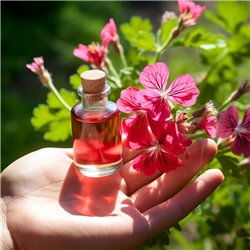 Esenciální olej Pelargónie růžová od značky Pěstík o objemu 10 ml, určený k podpoře hormonální rovnováhy.