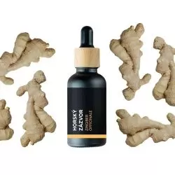 Lahvička s 10 ml 100% přírodního esenciálního oleje Horský zázvor od značky Pěstík s orientálním aroma.