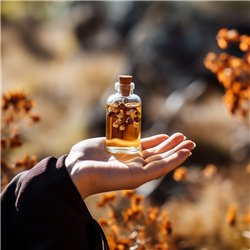Esenciální olej Kadidlo Frereana od značky Pěstík v 10 ml lahvičce, 100% přírodní a vhodný pro muže.