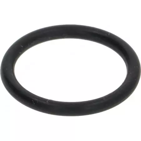 Těsnění O-RING 02056 EPDM, kompatibilní s kávovary značky Dalla Corte.