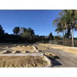 Pražená bezkofeinová káva CO2 - Guatemala - Finca El Hato. Na espresso.