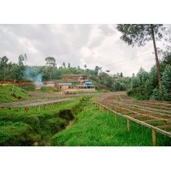Rwanda - Karambi Zpracování : Naturální (suchá)