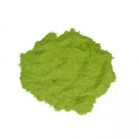 BIO Japan Ceremonial Matcha Hisui od značky Green Plantation je kvalitní zelený čaj s certifikací BIO, ideální pro tradiční japonské ceremoniály.