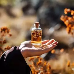 Esenciální olej Kadidlo Frereana od značky Green Plantation v 10 ml lahvičce, 100% přírodní a vhodný pro muže.