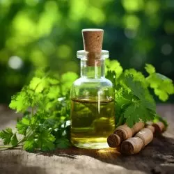Skleněná lahvička s 10 ml 100% přírodního esenciálního oleje koriandr od značky Green Plantation s dřevnatou vůní. Skleněná lahvička s 10 ml 100% přírodního esenciálního oleje koriandr od značky Green Plantation s dřevnatou vůní.