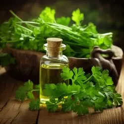 BIO Petržel je 100% přírodní esenciální olej o objemu 10 ml od značky Green Plantation, známý svým zklidňujícím účinkem.