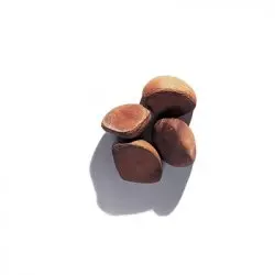 BIO Andiroba je 100% přírodní nosný olej vhodný pro použití na jaře, ideální pro péči o pleť a vlasy od značky Green Plantation.