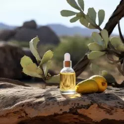 BIO Marula je 100% přírodní nosný olej od značky Green Plantation, který disponuje certifikací BIO a je ideální pro promaštění a výživu pleti.