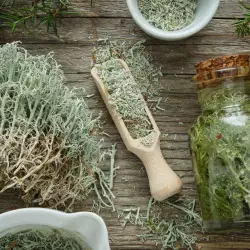 BIO Cypřiš je 100% přírodní esenciální olej od značky Green Plantation, který nabízí kořeněnou vůni ideální pro aromaterapii.
