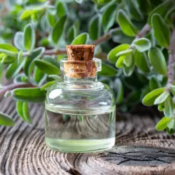 BIO Majoránka je 100% přírodní esenciální olej značky Green Plantation s objemem 10 ml, ideální pro aromaterapii a relaxaci. BIO Majoránka je 100% přírodní esenciální olej značky Green Plantation s objemem 10 ml, ideální pro aromaterapii a relaxaci.