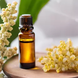 BIO Kadidlo Frereana od značky Green Plantation je 100% přírodní esenciální olej v objemu 10 ml, ideální pro použití při akné.