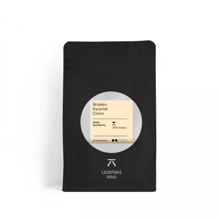 Etiopie Guji Mancity je lahodná zrnková káva určená pro filtr, ideální pro přípravu v Aeropressu. Tato lázeňská káva vyniká svou jedinečnou chutí a arómou.