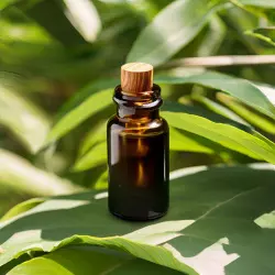 BIO Babassu je 100% přírodní nosný olej od značky Green Plantation s neutrální vůní, ideální pro různé kosmetické aplikace. BIO Babassu je 100% přírodní nosný olej od značky Green Plantation s neutrální vůní, ideální pro různé kosmetické aplikace.