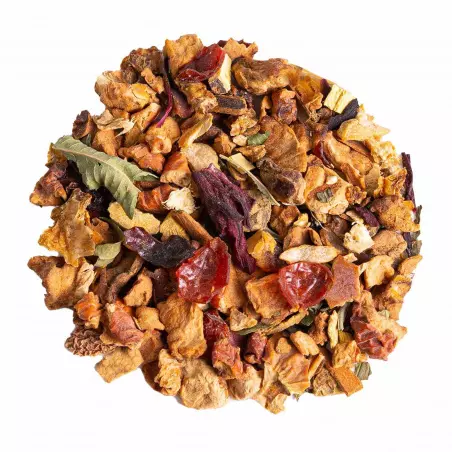 BIO Autumn Feelings je lahodný ovocný čaj od značky Green Plantation, který je certifikovaný jako BIO a přináší přírodní chuť podzimu.