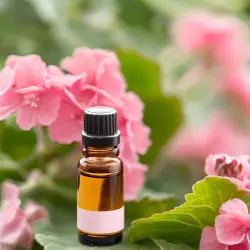 BIO Pelargonie je 100% přírodní esenciální olej o objemu 10 ml se svěží vůní, ideální pro aromaterapii a vonné lampy.