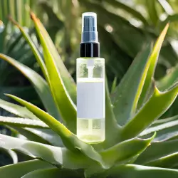 BIO Aloe vera je 100% přírodní hydrolát s svěží vůní, ideální pro osvěžení pleti.