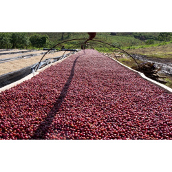 Menší balíček 100 g s kávou Gesha Village určenou pro přípravu přes filtr