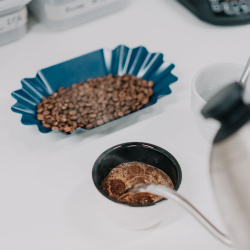 Pohled shora do cuppingové misky Rhinowares Pohled shora do cuppingové misky Rhinowares