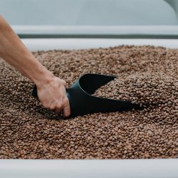 Odměrka Bean Scoop plněná kávovými zrny po okraj