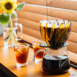 Barista Server při přípravě filtrované kávy