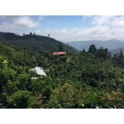 Kostarika - Comunidad Palmichal Nadmořská výška : 1700 m.n.m.