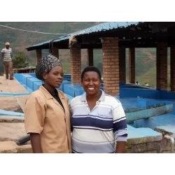 Rwanda - Buf: Nyarusiza Použití : Filtr
