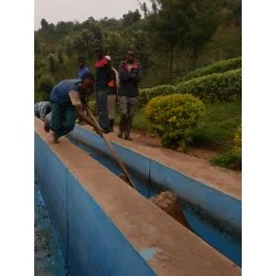 Rwanda - Buf: Nyarusiza Metoda přípravy : Clever Dripper