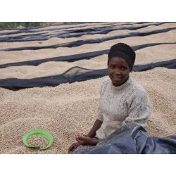 Rwanda - Buf: Nyarusiza Země : Rwanda