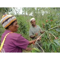Papua Nová Guinea - Luoka Produkce : Comunity lot