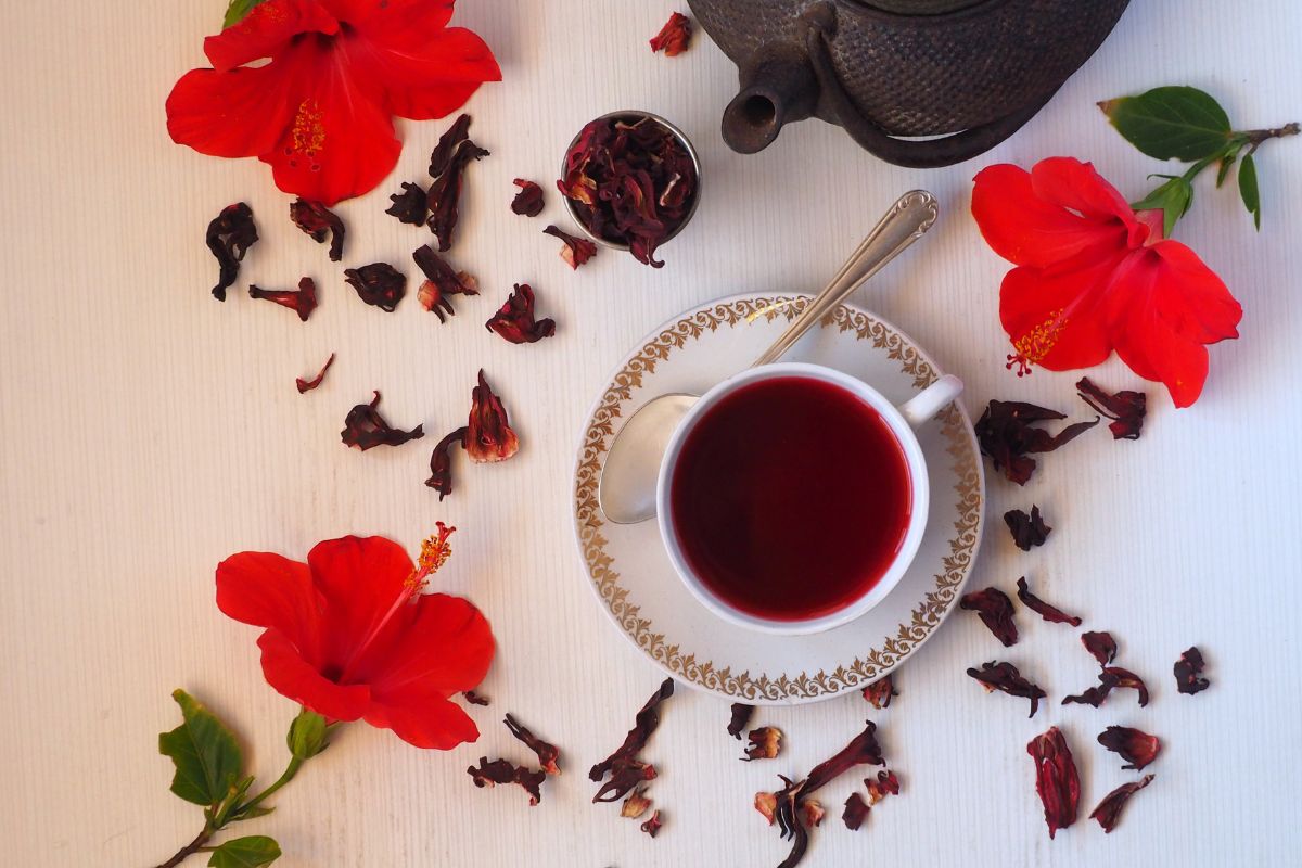 Ibišek | BIO čaj bylinný sypaný | Lázeňská káva