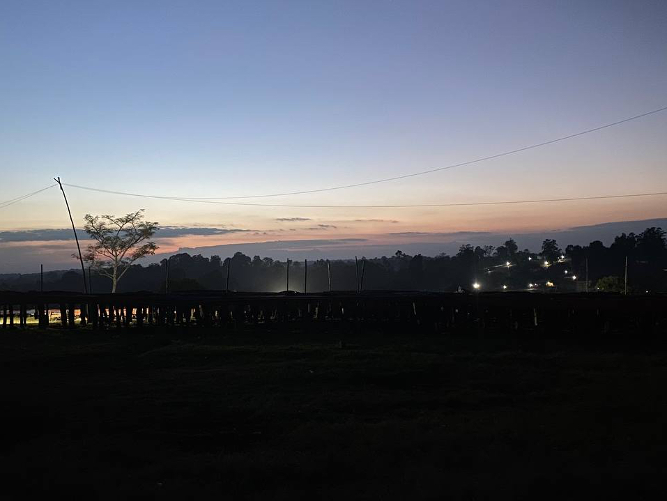 Etiopie – Guji Mancity | Kvalitní káva pražená na espresso