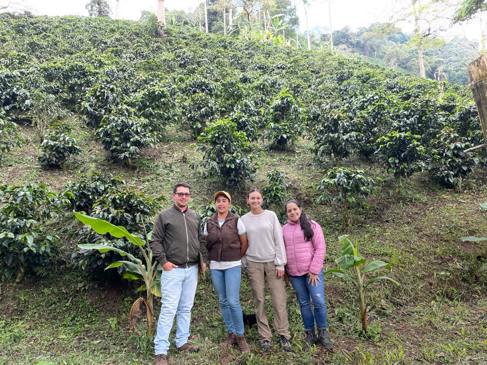 BIO zrnková káva | Kolumbie Asoprocafees | Espresso