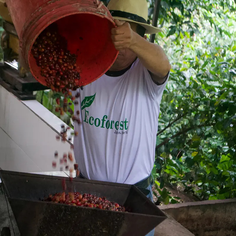 Peru Gramalotal – káva na espresso s tóny karamelu a ořechů