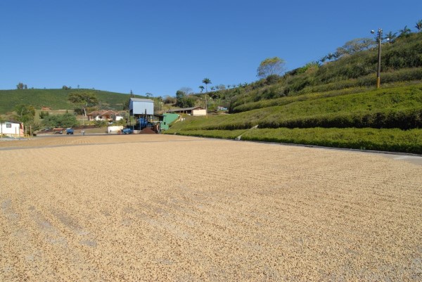 Espresso v kapsli. Výběrová káva v 10 kapslích do kávovaru | Lázeňská káva