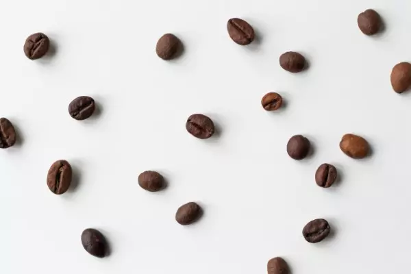 Fellow Atmos Vakuová dóza na kávu v černé barvě 1200 ml | Lázeňská káva